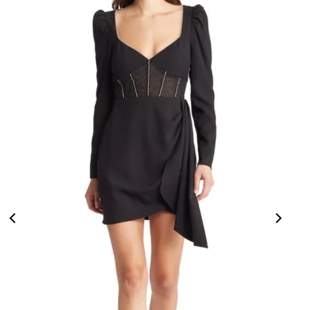 NWOT SAYLOR sheer sparkle corset mini dress